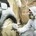 Here’s Some Essential Hacks to Safeguard Your Car Paint from Fading
