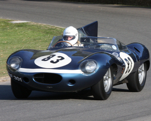 D-Type Works Long Nose