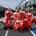 Gazoo has been entering LFAs into the race since 2009