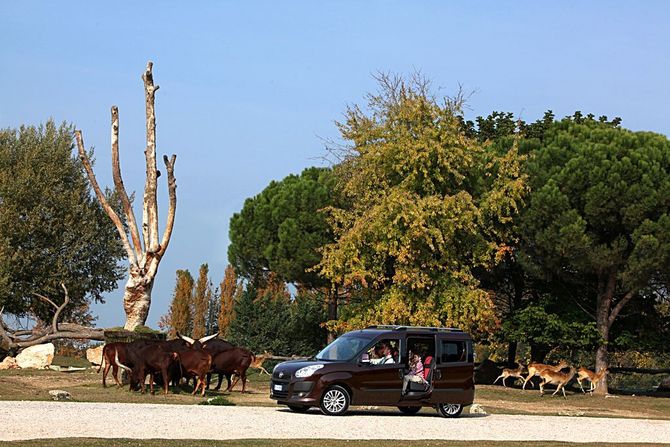Fiat Doblò Cargo Maxi 1.3 Multijet 90hp Basic Fiat Doblò Cargo Maxi 1.3 Multijet 90hp Basic