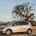 Seat Altea 1.9 TDI 105cv DPF Sport DSG (09)