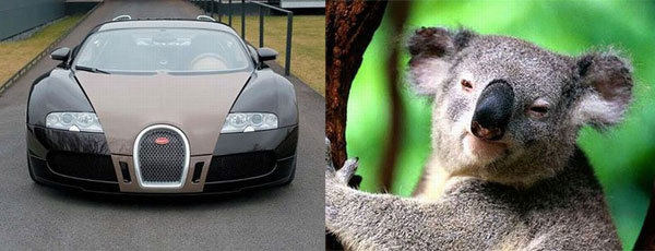 totally looks like... totally looks like...