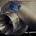 The engine has had two Greddy Turbos added to it. 