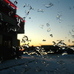Clear windscreen