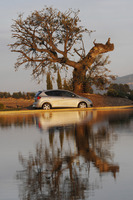Seat Altea 1.9 TDI 105cv DPF Sport DSG (09)