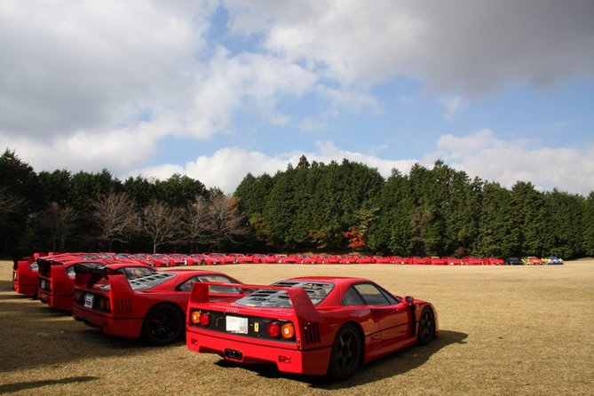 Ferrari heaven?