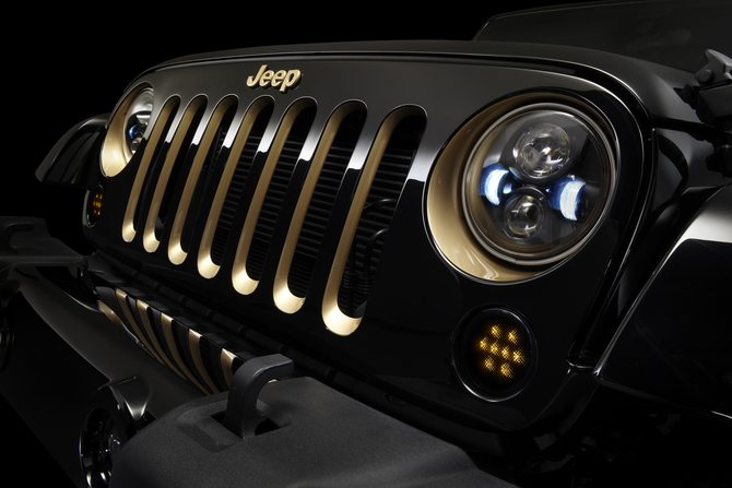 Even the headlight surrounds get the theme Even the headlight surrounds get the theme