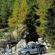 Fiat Stilo Multi Wagon 1.6 16v