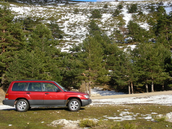 Subaru Forester Subaru Forester