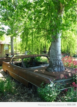 Green car with extra anti-theft feature never seen before. Green car with extra anti-theft feature never seen before.