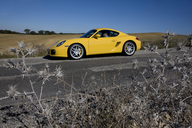 Porsche Cayman Coupe S (LSD) Porsche Cayman Coupe S (LSD)