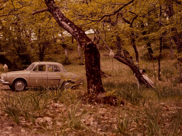 Renault Dauphine Renault Dauphine