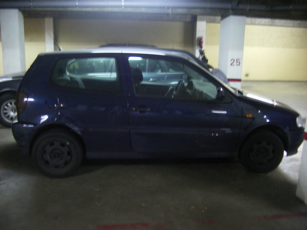 My Polo My Polo