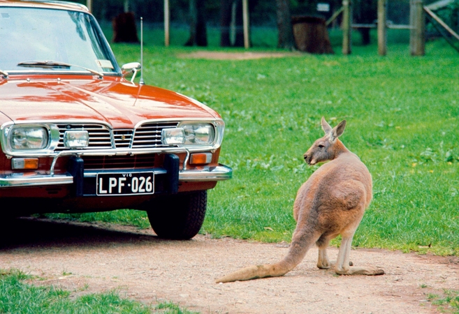 Renault 16 Renault 16