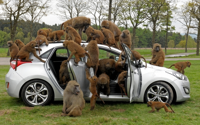 The i30 has thick, scratch-resistant paint The i30 has thick, scratch-resistant paint