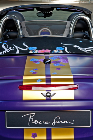 MINI (BMW) Roadster Life Ball Franca Sozzani MINI (BMW) Roadster Life Ball Franca Sozzani