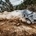 The car's major competition will be Volkswagen, which just won the WRC World Championship