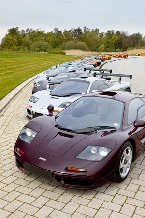 The LMs and F1s posing together The LMs and F1s posing together