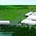 The Driving Experience Center will cover 47 hectares when completed