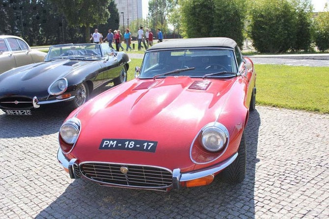 ExpoClassics ExpoClassics