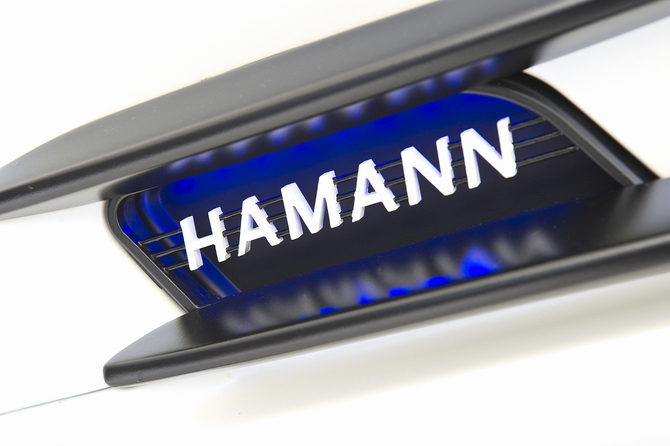 Hamann Motorsport Hawk Hamann Motorsport Hawk
