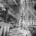 1966- Toyota Corolla production begins