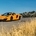 The cars are limited to three colors with exclusive details