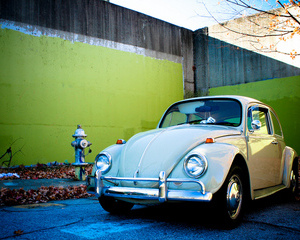 Beetle Type 11 Standard